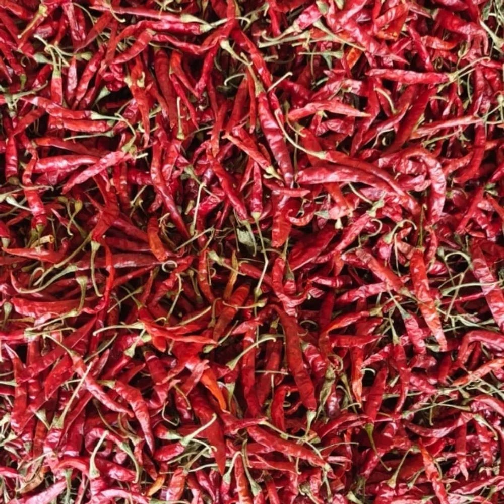 Teja Red Chilli - Food & Agriculture by Gohhil International LLP