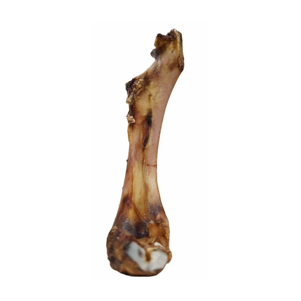 Large Femur Dog Bones - Home & Kitchen by Vee Gee Enterprises