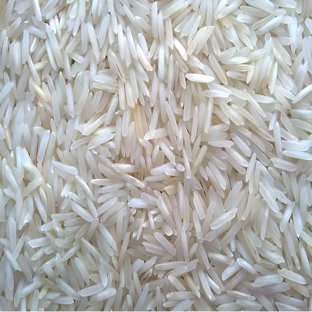 Unpolished Creamy Basmati Rice - Food & Agriculture by Blue Core Impex