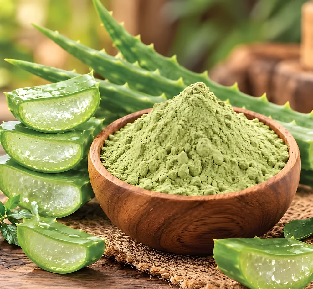 Aloe barbadensis Powder Extract - Healthcare & Medical by M/S. Riverline Lifesciences & Herbals Pvt. Ltd.