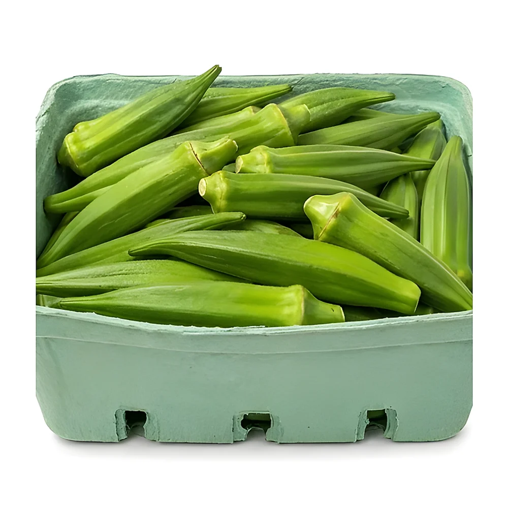 Fresh Lady Finger - Food & Agriculture by RCS Agricultural Products Exports