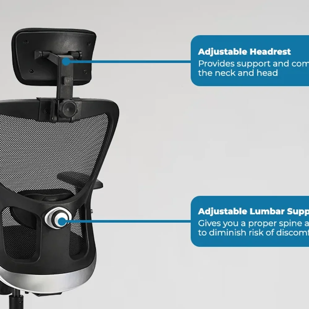 Jade High Back Black Mesh Executive Office Chair - Furniture & Interiors by IAFA Furniture Pvt. Ltd.