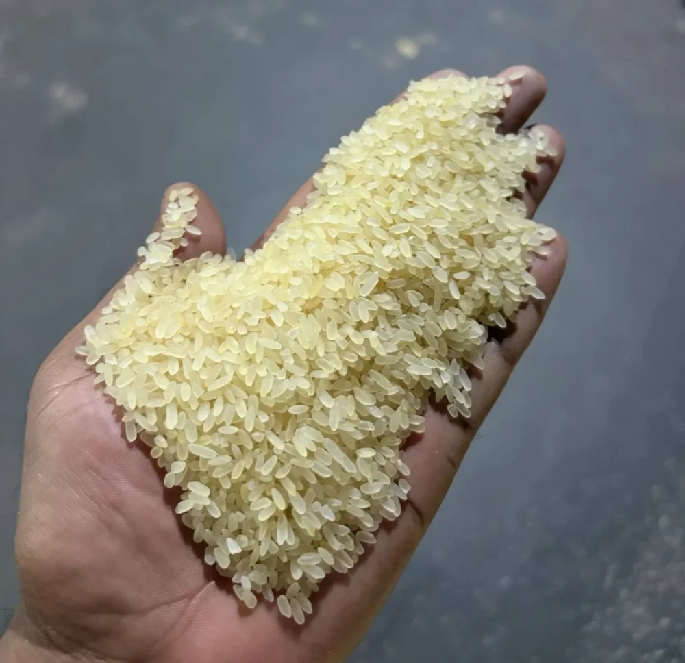 Parboiled Swarno Rice for Bulk Supply - Food & Agriculture by Deltaa Export