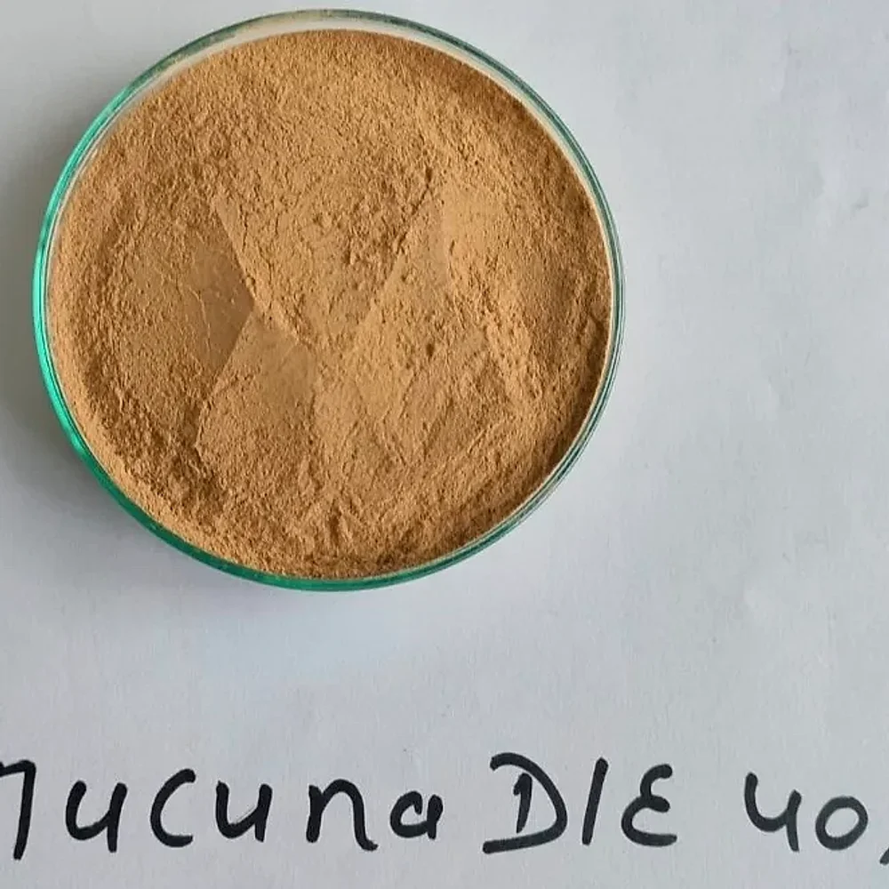 Mukuna Dry Extract COA Grade - Chemicals & Raw Materials by BigNests
