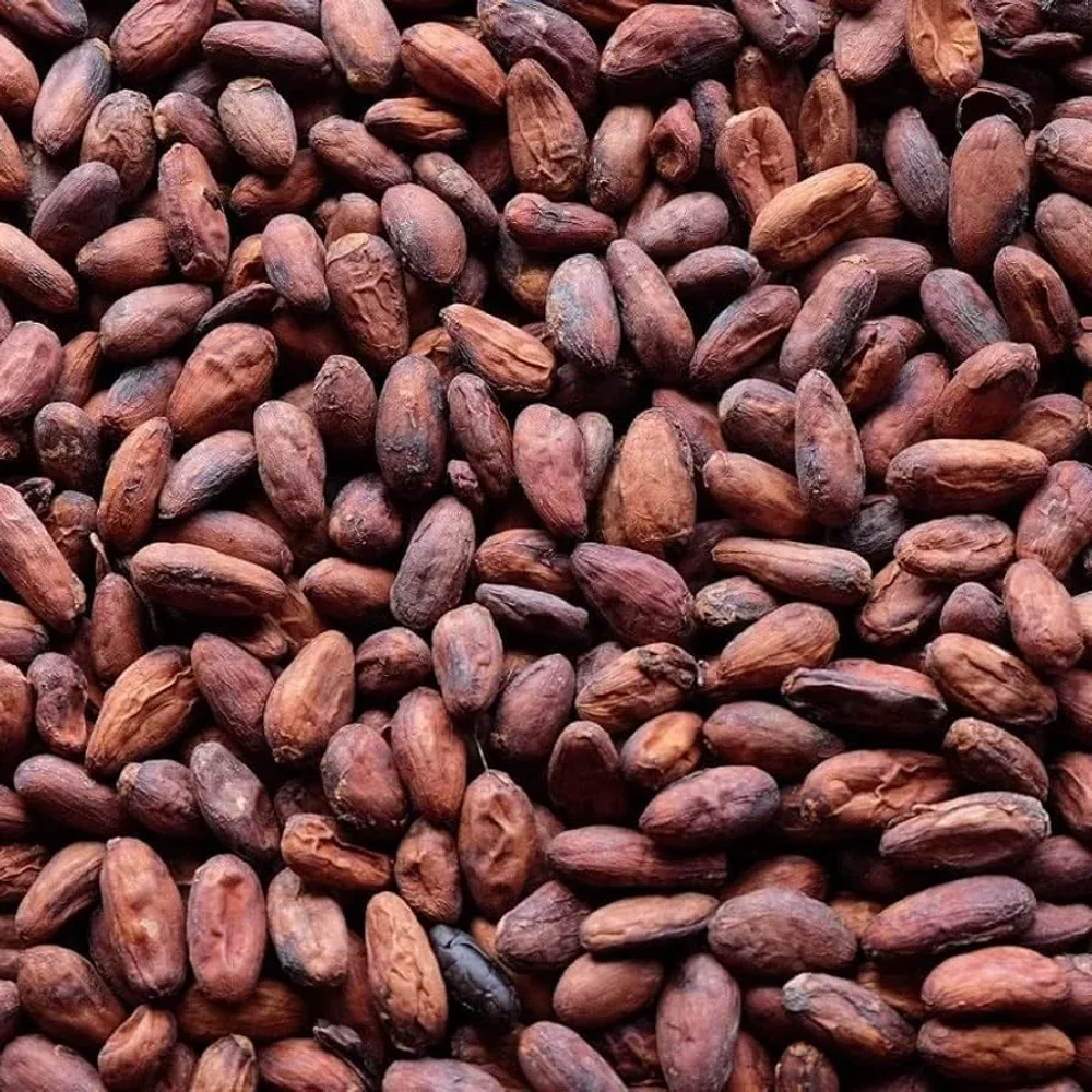 Bulk Cocoa Beans and Products - Food & Agriculture by Salaragrand Pvt. Ltd.