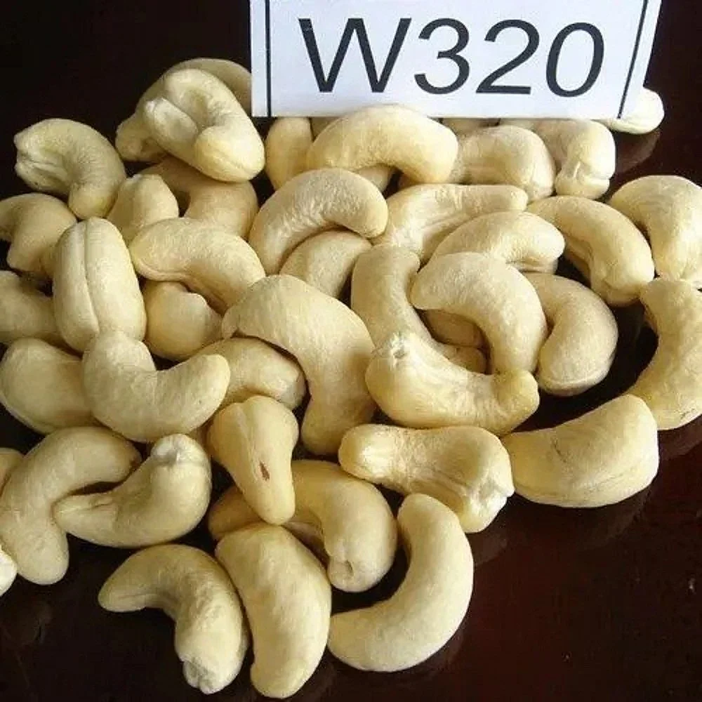 W320 Cashew Nut - Food & Agriculture by Ali Agri Export