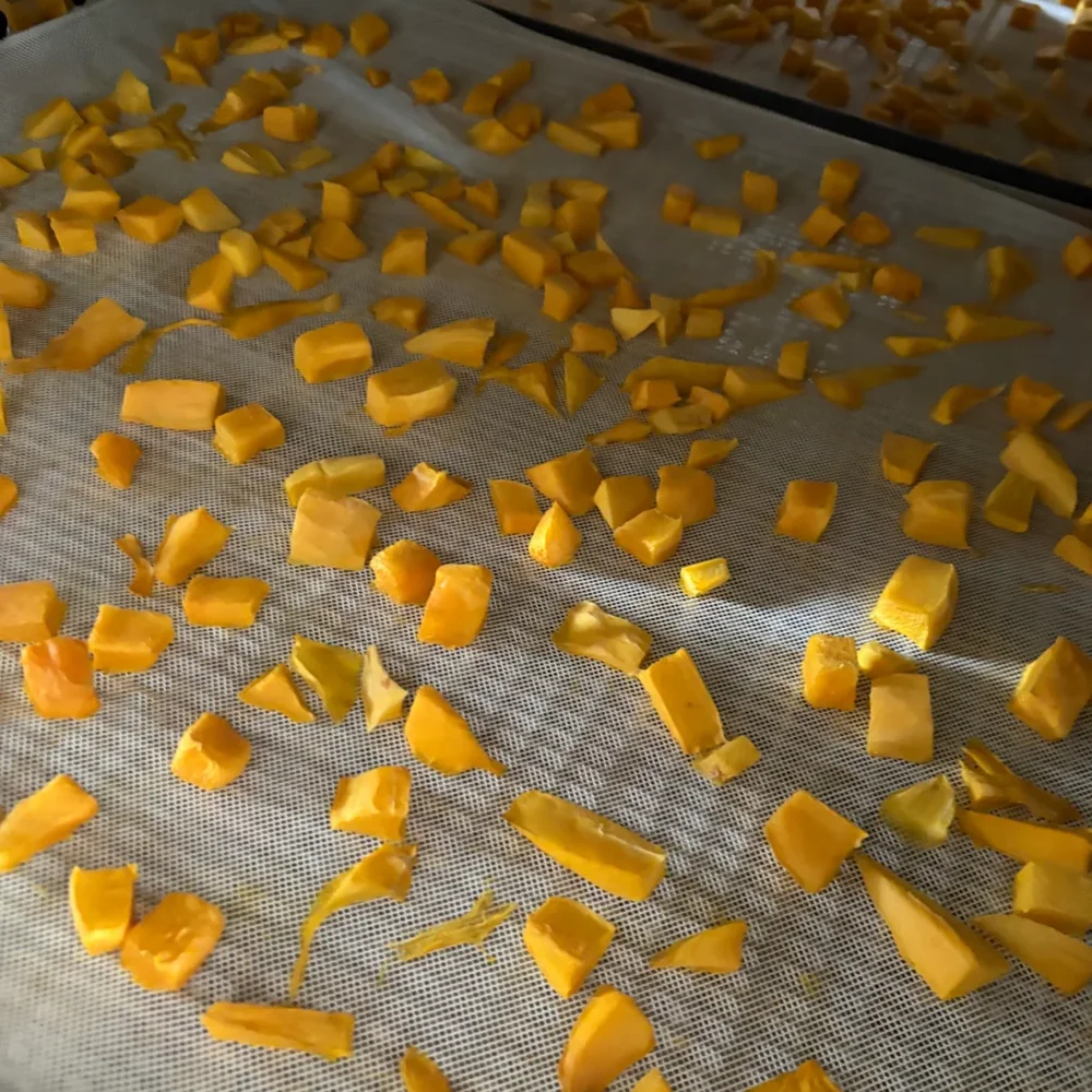 Dehydrated Mango Flakes Bulk - Food & Agriculture by Agriessence Enterprises Pvt. Ltd.