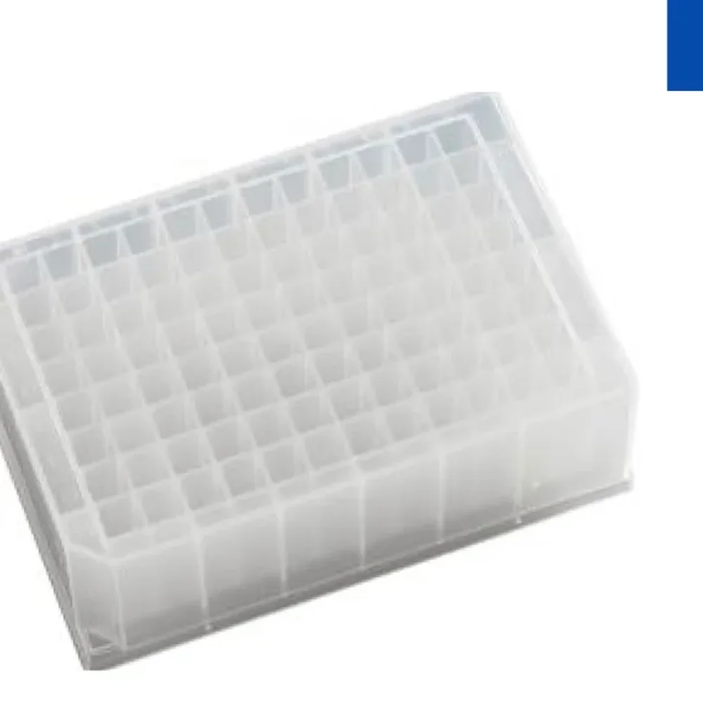 Polypropylene Deep Well Microplates - Healthcare & Medical by Cyto Scientific