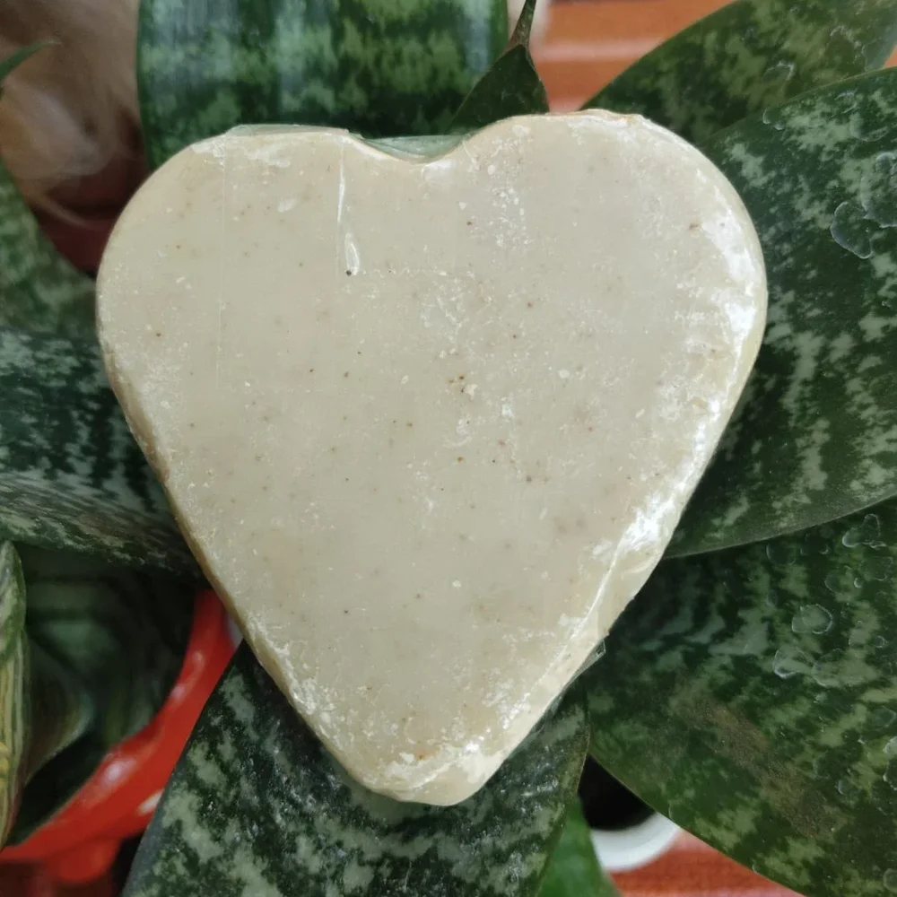 Handmade Ayurvedic Cold Process Bath Soap - Beauty & Personal Care by Akschan Herbals (OPC) Pvt. Ltd.