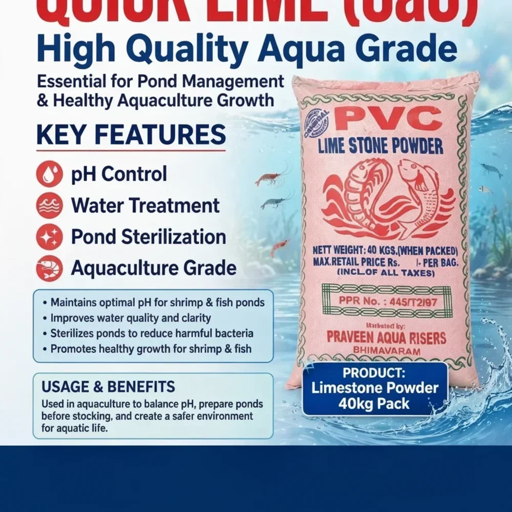 Aqua Grade Lime Powder - Chemicals & Raw Materials by Praveen Aqua Riseres