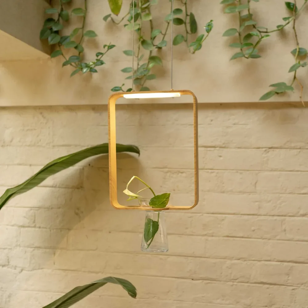 Wood Suspended Light Curio with Planters - Furniture & Interiors by Wooden Owl Design Pvt. Ltd.