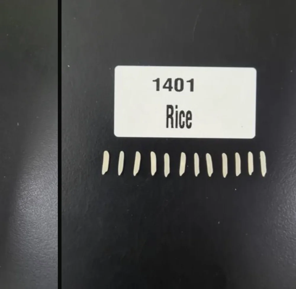1509, 1121, 1401 Rice Varieties - Food & Agriculture by Al Tayyebaat Foods Pvt. Ltd.