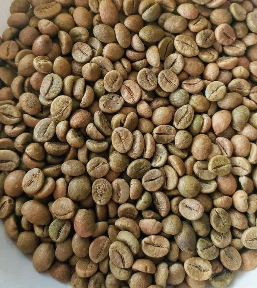 Green Coffee Beans - Food & Agriculture by RK Natural Exports