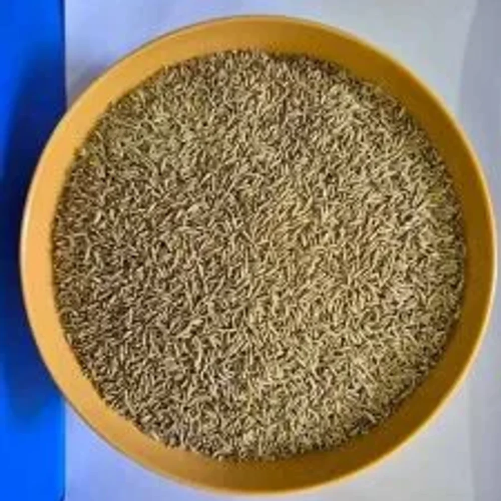 Whole Cumin Seed for Supply - Food & Agriculture by Oviya Universal LLP