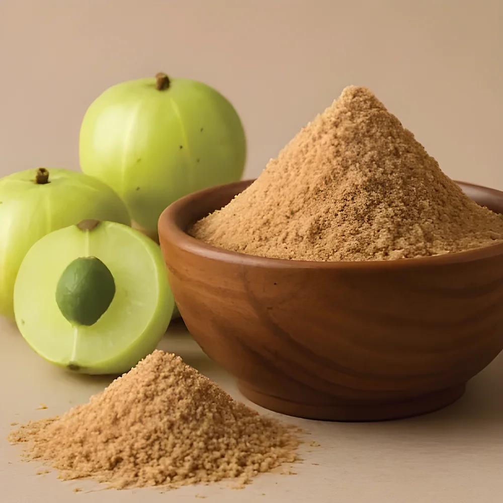 Amla Powder Extract - Healthcare & Medical by M/S. Riverline Lifesciences & Herbals Pvt. Ltd.