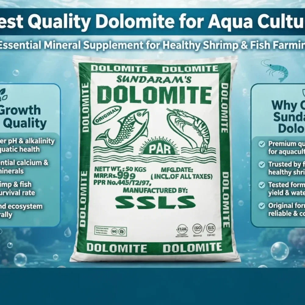 SUNDARAM'S Dolomite Powder 150 Mesh - Chemicals & Raw Materials by Praveen Aqua Riseres