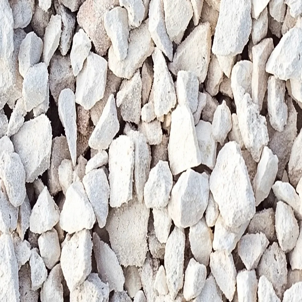 White Quicklime Lump - Chemicals & Raw Materials by Praveen Aqua Riseres
