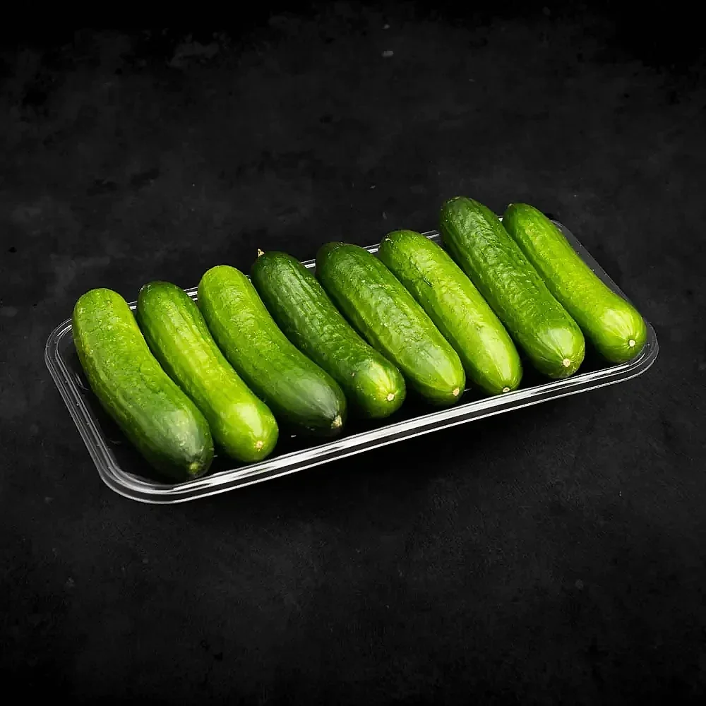 Fresh Cucumbers - Food & Agriculture by RCS Agricultural Products Exports