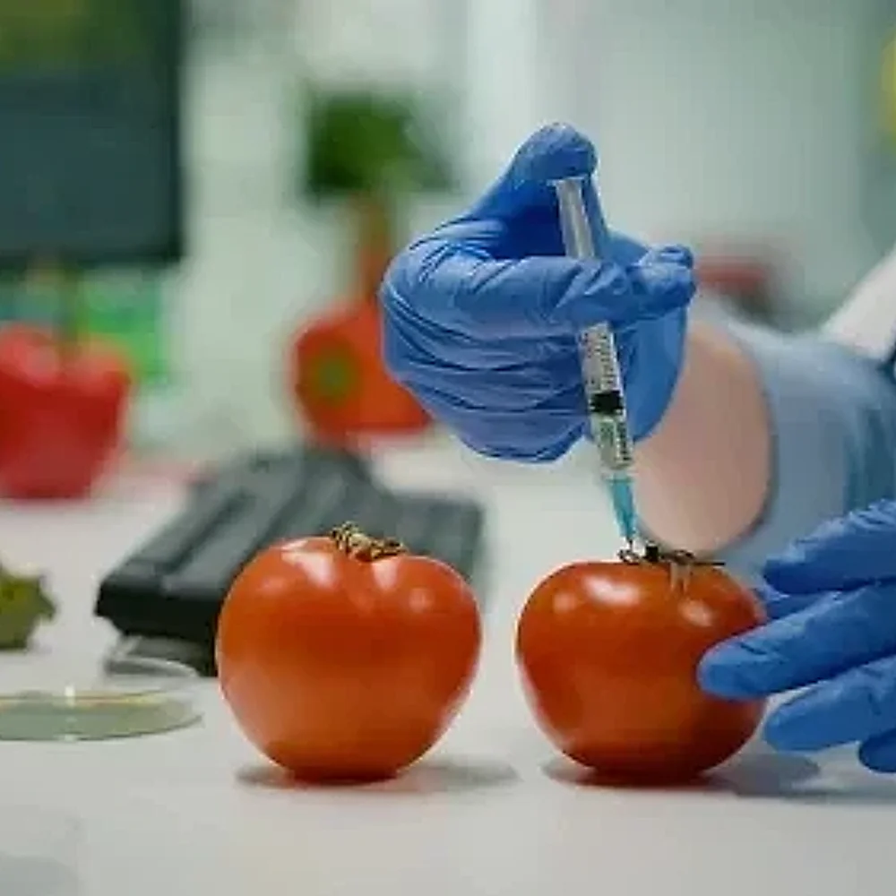 Food and Agricultural Product Microbiological Testing - Business & Professional Services by Elshaddai Aradhna Group