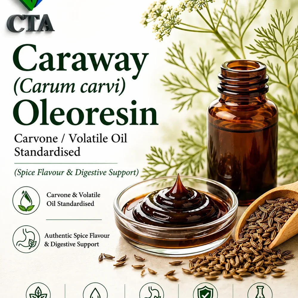 Caraway Oleoresin (Carum Carvi) - Carvone Standardised - Food & Agriculture by Central Trade Agency Pvt. Ltd.