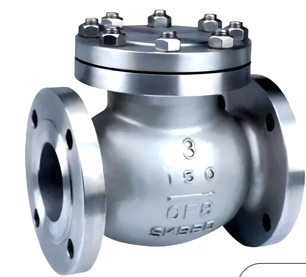 SKEEB Cast Steel Flanged Swing Check Valve 50 mm - Industrial Supplies & Tools by M/S. Piping Zone