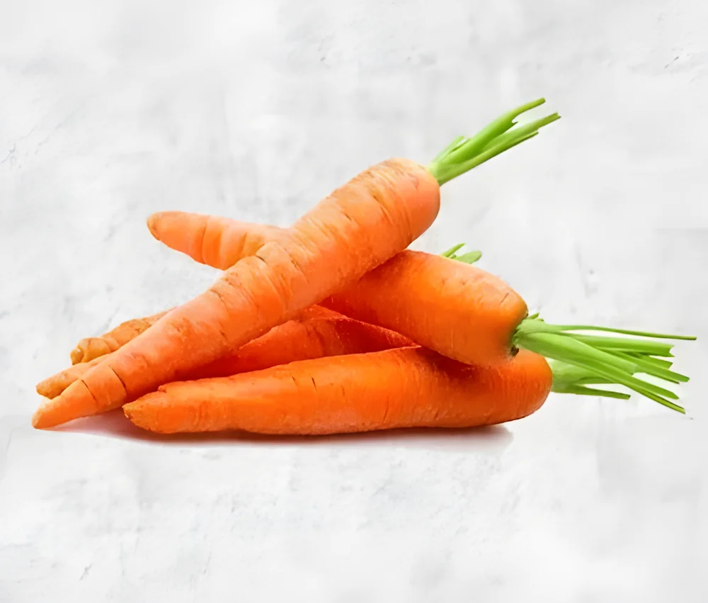 Export & Wholesale Grade Fresh Carrots - Food & Agriculture by Shyamrao Enterprises