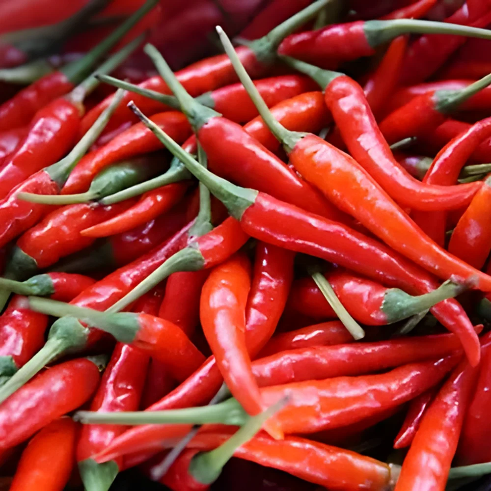 Dried Red Chilies - Food & Agriculture by Greene Traders