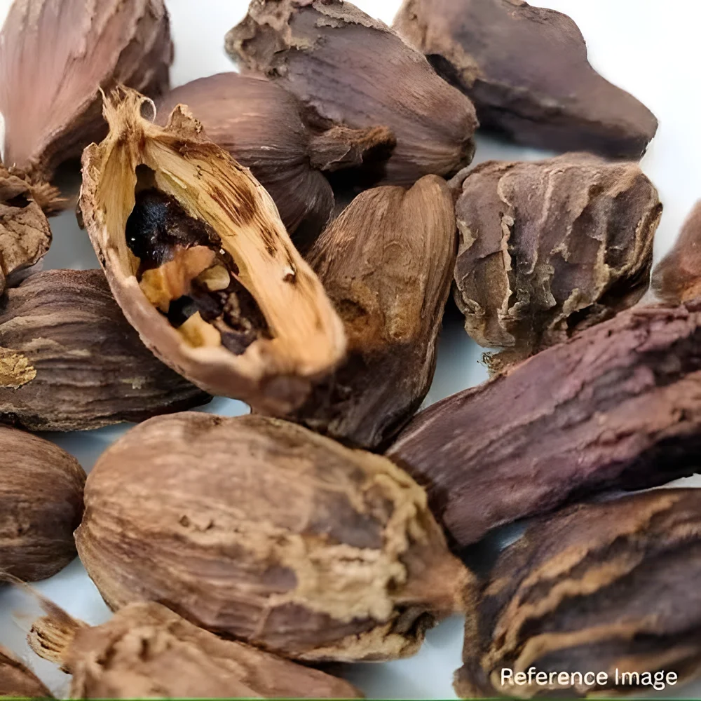 Whole Black Cardamom Medium Grade - Food & Agriculture by M/S. Capital Enterprise