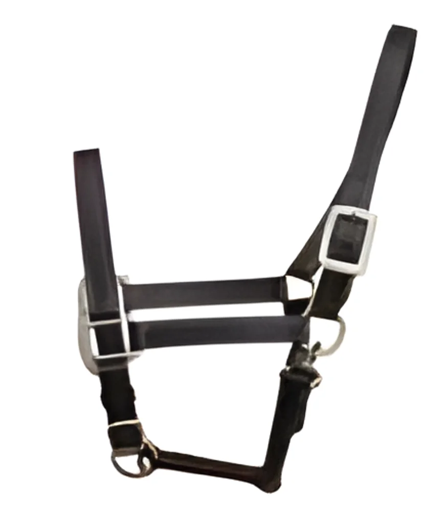 Horse Halter - Healthcare & Medical by M/S. Paradise Noble Creations