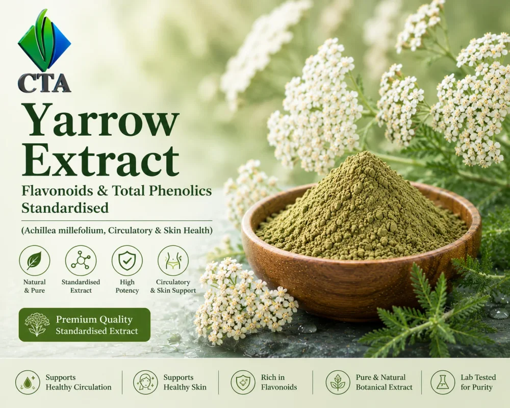 Yarrow Extract Powder (Achillea Millefolium) - Flavonoids & Total Phenolics Standardised - Chemicals & Raw Materials by Central Trade Agency Pvt. Ltd.