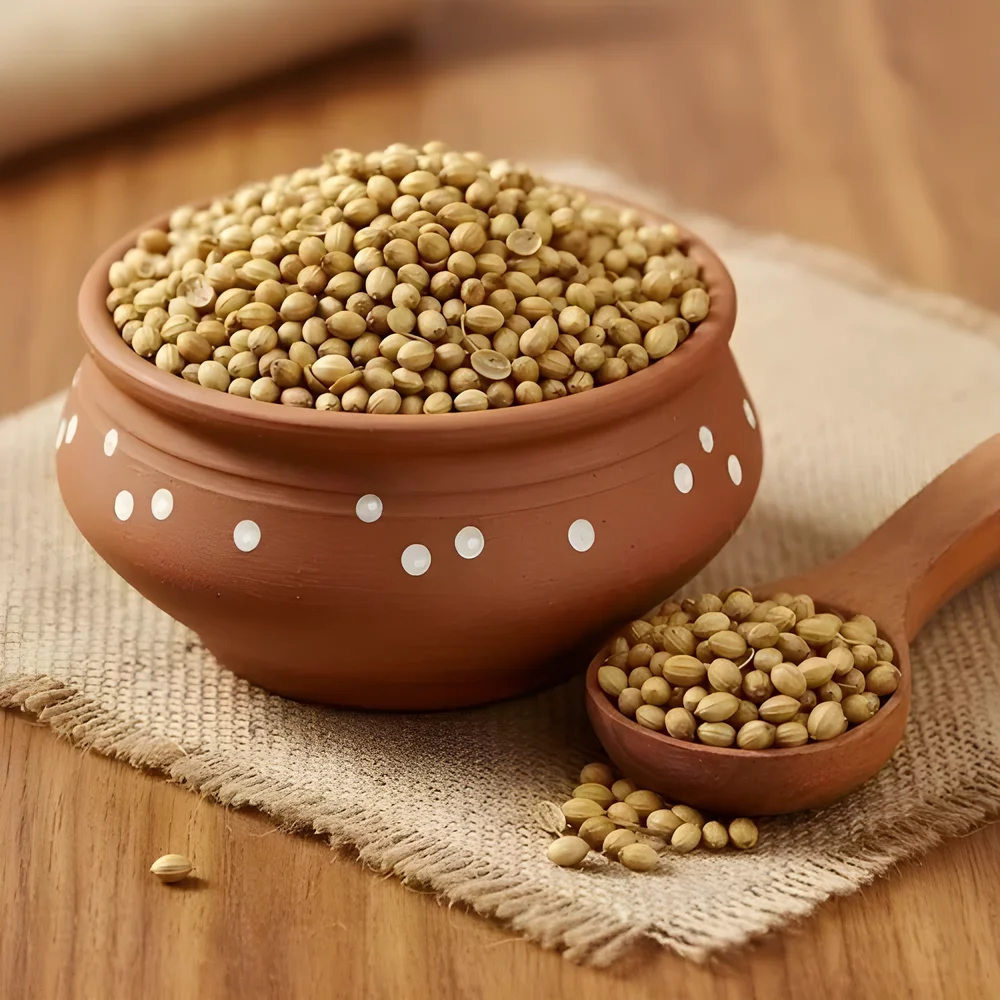 Coriander Seed - Food & Agriculture by Krishnapriya Export and Import