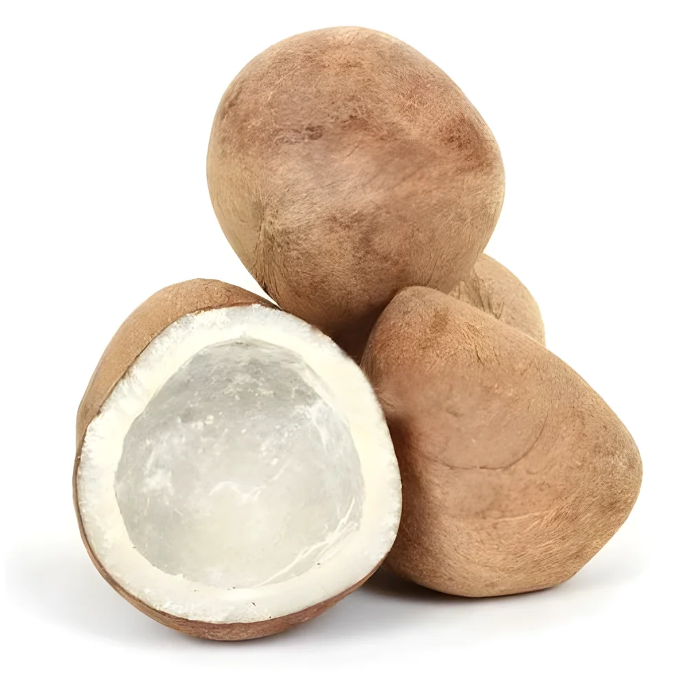 Premium Dried Coconut Kopra - Food & Agriculture by C R a Exim