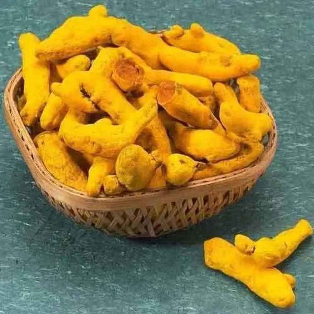 Nizamabad Whole Turmeric Fingers - Food & Agriculture by Oviya Universal LLP