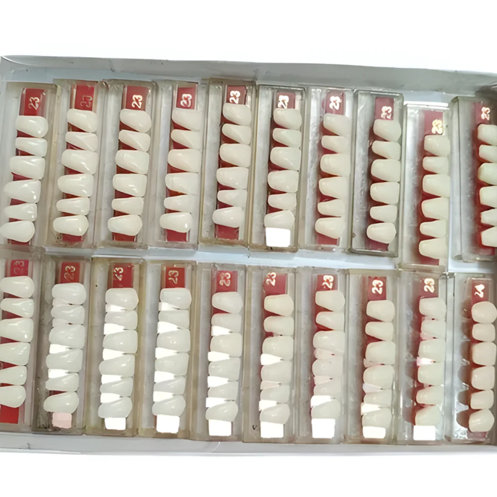 Acrylic Dental Front Teeth Set - Healthcare & Medical by M/S. Natraj Surgident
