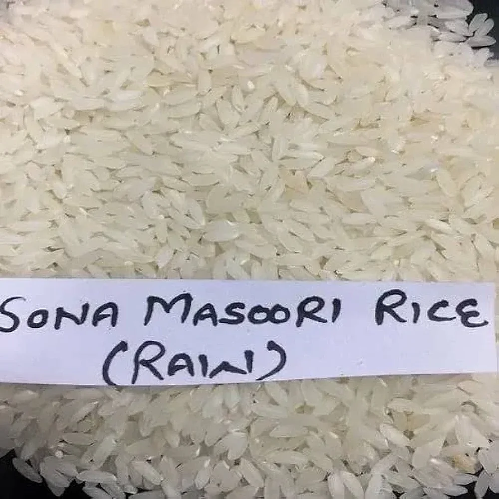 Raw Sona Masuri Medium Grain Rice - Food & Agriculture by Bharat Traders