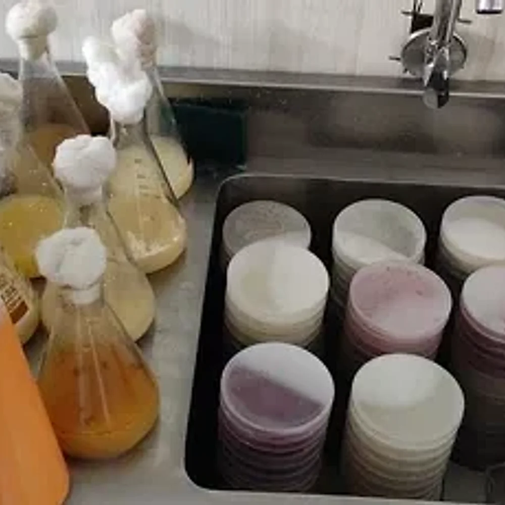 Cosmetic Product Microbiological Testing - Business & Professional Services by Elshaddai Aradhna Group
