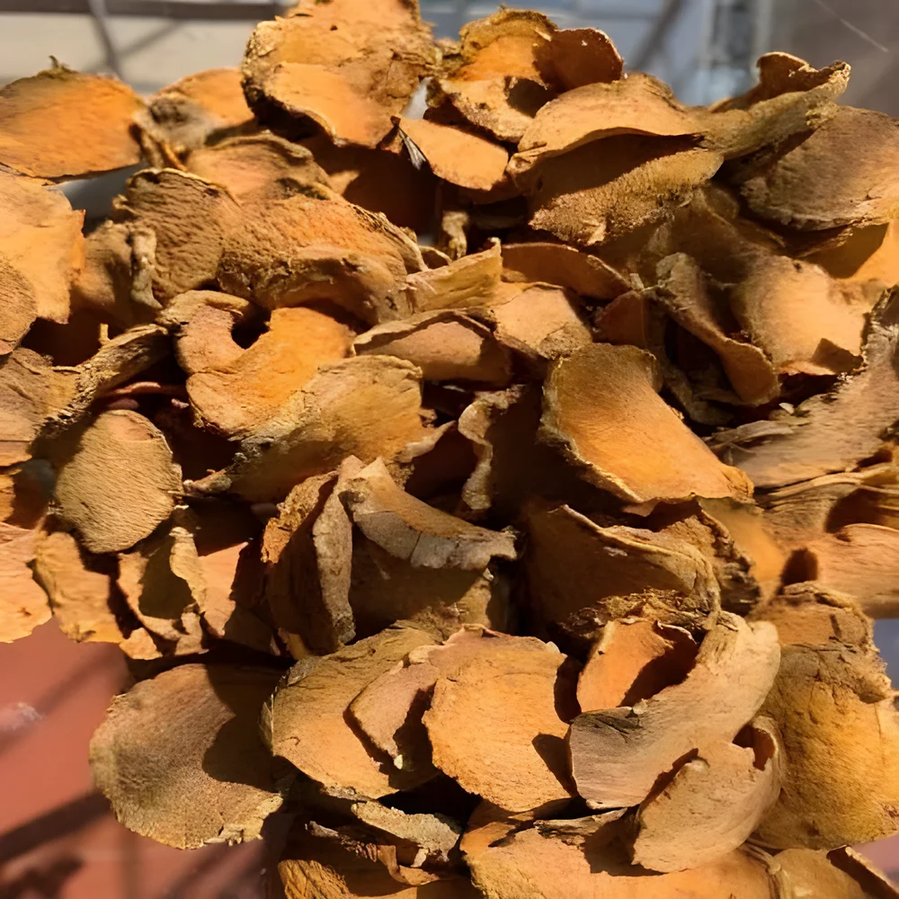 Lakadong Turmeric Sliced Dried - Food & Agriculture by M/S. Capital Enterprise