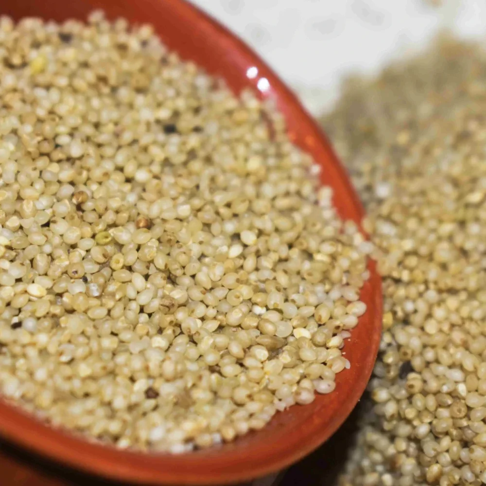 Whole Grain Barnyard Millet - Food & Agriculture by Ikshana Oil and Foods Pvt. Ltd.