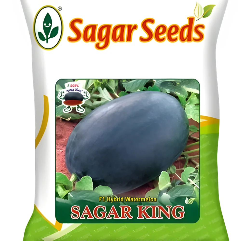Sagar King F-1 Hybrid Watermelon Seeds for Agriculture - Food & Agriculture by Sagar Biotech