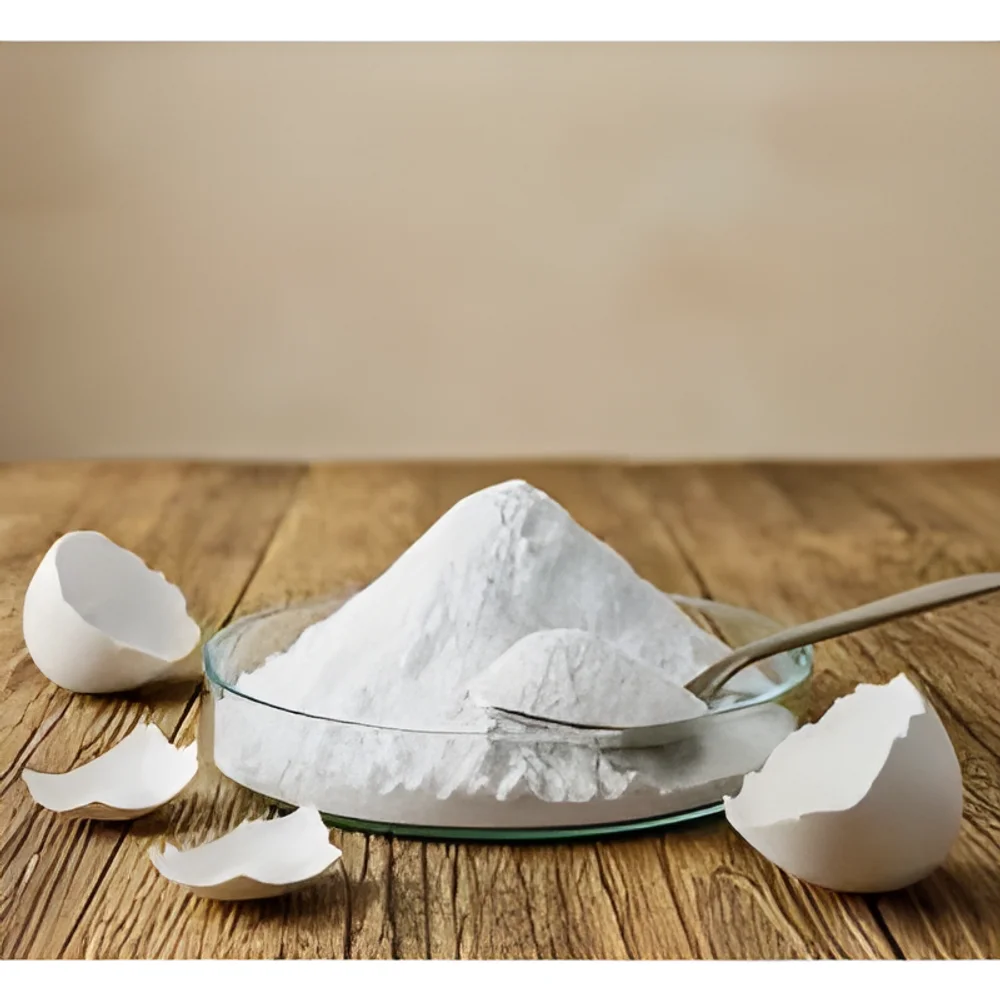 Pure White Eggshell Powder - Chemicals & Raw Materials by Shri Vinayaga Traders