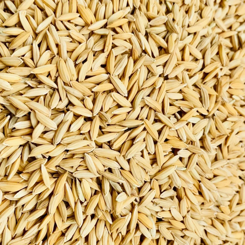 Bpt 5204 Sona Paddy - Food & Agriculture by M/S. Madhu Priya Enterprises