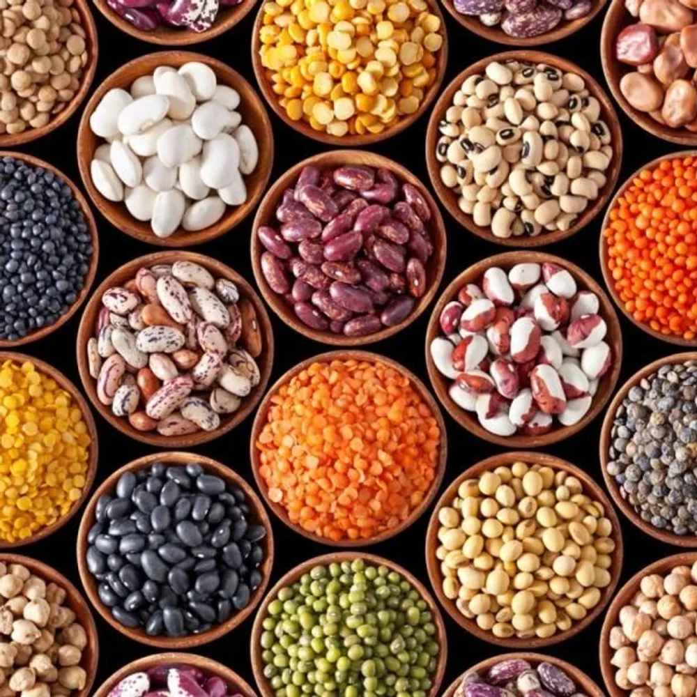 Bulk Legumes and Pulses - Food & Agriculture by Sri Raghavendra Wholesale Mart