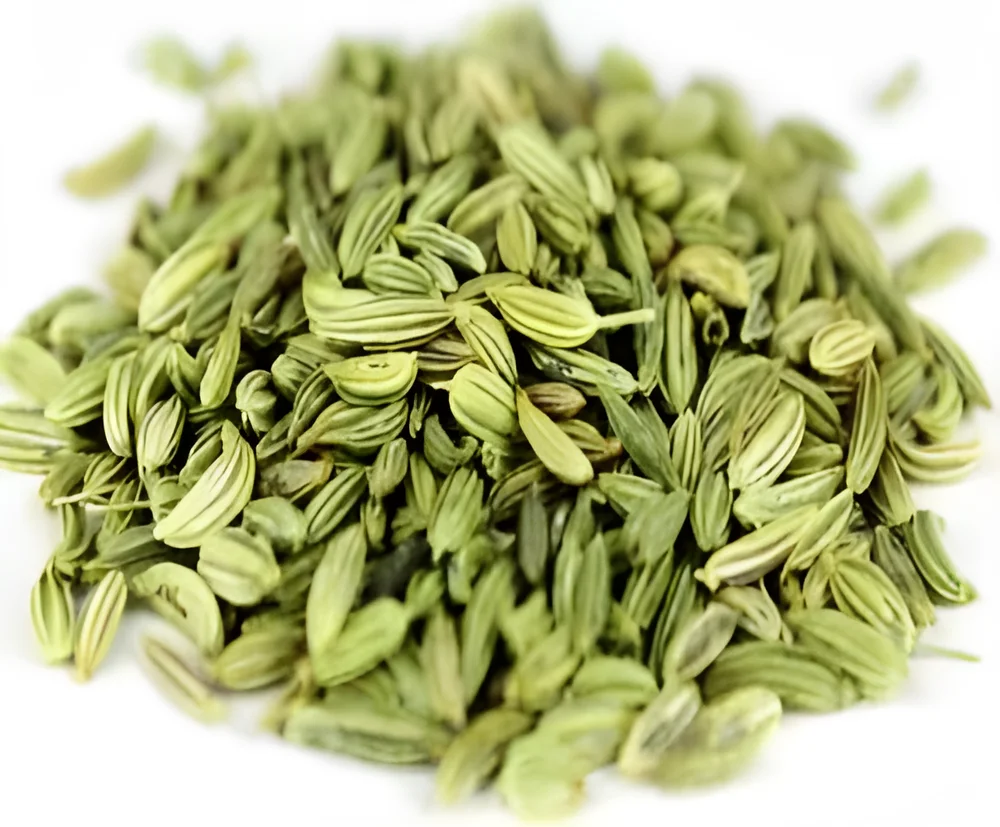 Whole Fennel Seeds - Food & Agriculture by Oviya Universal LLP