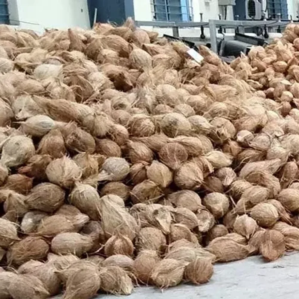 Protex Coconuts - Food & Agriculture by GKS Tailoring and Embroidery