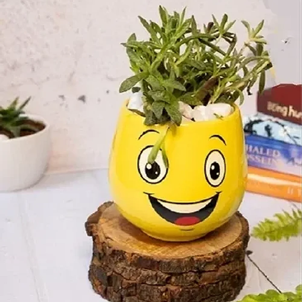 Yellow Cylindrical Ceramic Planter - Home & Kitchen by Cerra and Terra Home Decor