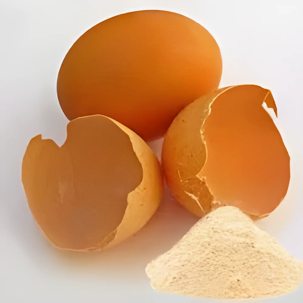 Egg Shell Powder for Gardening - Food & Agriculture by Shri Vinayaga Traders