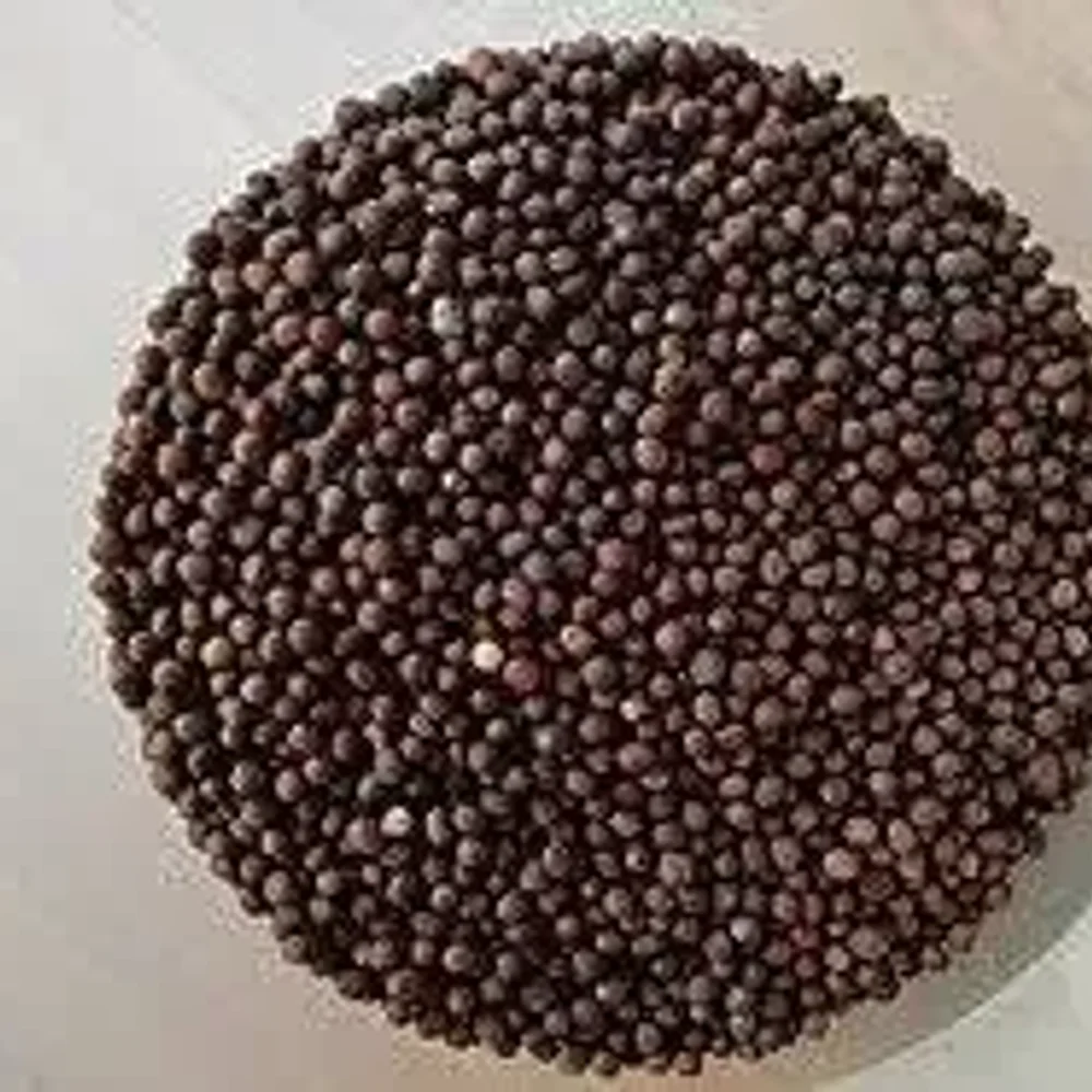 Fiery Black Mustard Seed - Food & Agriculture by Jhanwar Agro Bio Industries