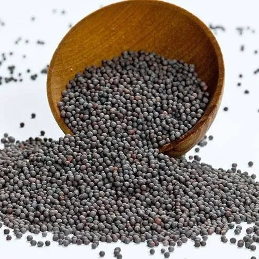 Fiery Black Mustard Seed - Food & Agriculture by Jhanwar Agro Bio Industries