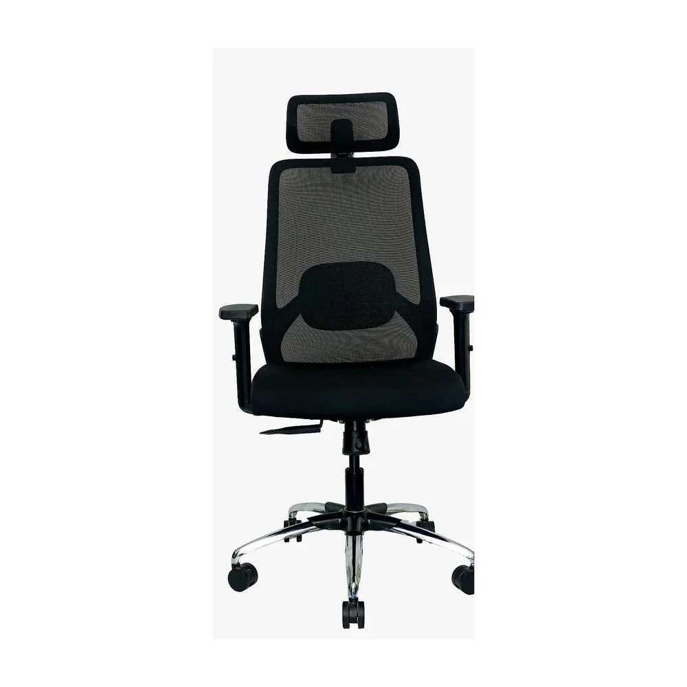 Black Mesh High Back Executive Revolving Chair - Furniture & Interiors by IAFA Furniture Pvt. Ltd.