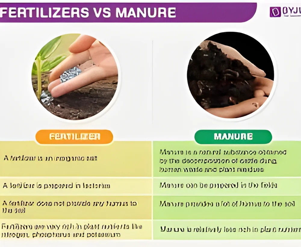 Organic Fertilizers and Manure - Food & Agriculture by Shree Ram Manufacturing and Consultancy
